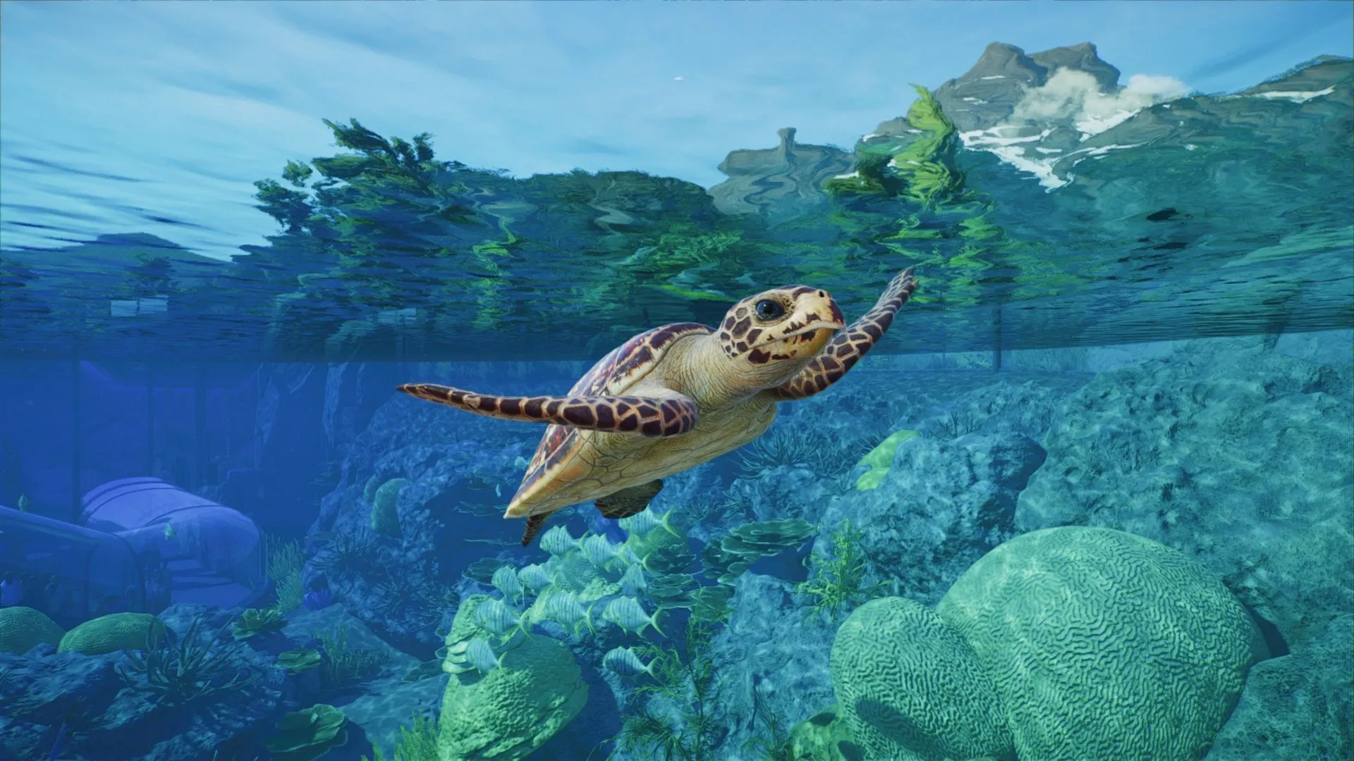 Planet Zoo 2: велична природа та виснажливий мікроменеджмент